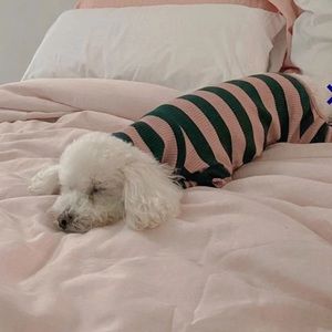 Little Beast Pink Elephant Onesie One Piece Dog Sweater - Pink and Green Small